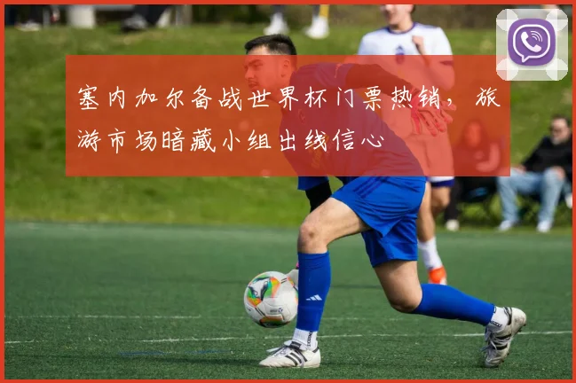 塞内加尔备战世界杯门票热销，旅游市场暗藏小组出线信心
